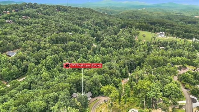 175 Mountain Brooks Road, Blue Ridge, GA 30513