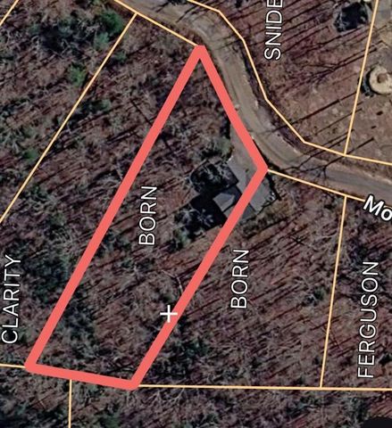 175 Mountain Brooks Road, Blue Ridge, GA 30513