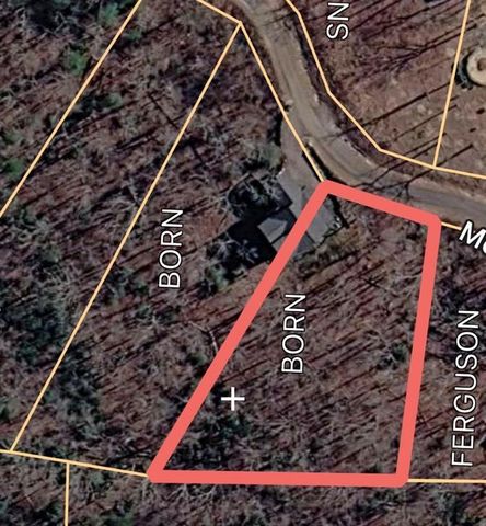 175 Mountain Brooks Road, Blue Ridge, GA 30513