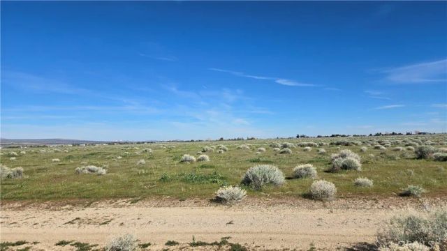 0 Avenue B-8 vicinity 265th St W, Fairmont, CA 93536