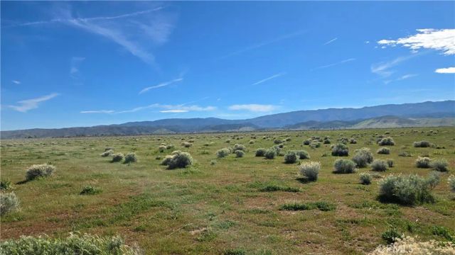 0 Avenue B-8 vicinity 265th St W, Fairmont, CA 93536