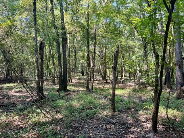 TBD Stonetown Road, Beaumont, TX 77713