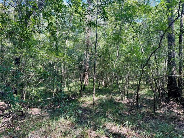 TBD Stonetown Road, Beaumont, TX 77713