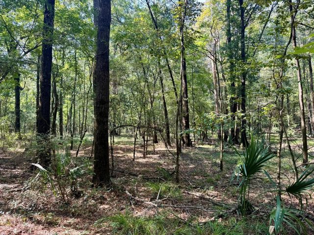 TBD Stonetown Road, Beaumont, TX 77713