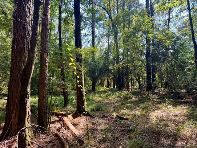 TBD Stonetown Road, Beaumont, TX 77713