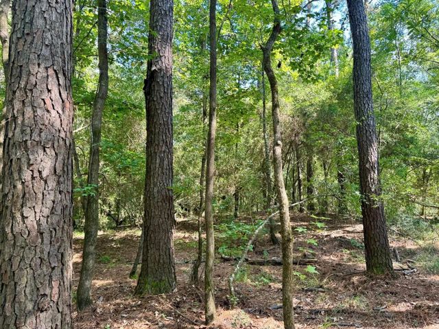 TBD Stonetown Road, Beaumont, TX 77713