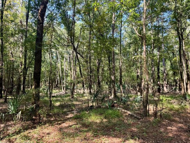 TBD Stonetown Road, Beaumont, TX 77713