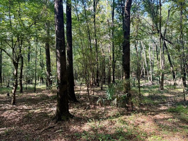 TBD Stonetown Road, Beaumont, TX 77713