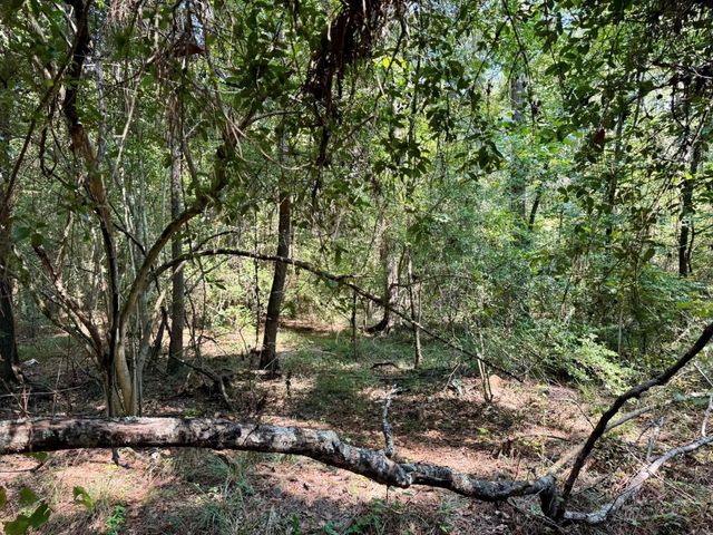 TBD Stonetown Road, Beaumont, TX 77713