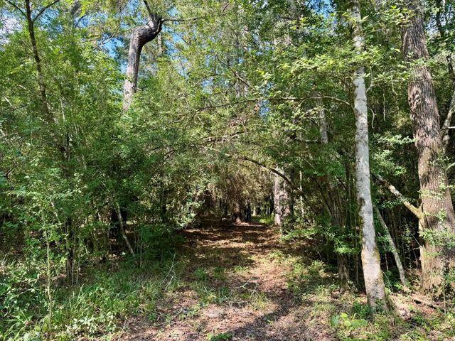 TBD Stonetown Road, Beaumont, TX 77713