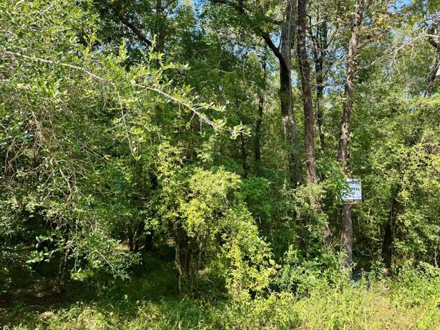 TBD Stonetown Road, Beaumont, TX 77713