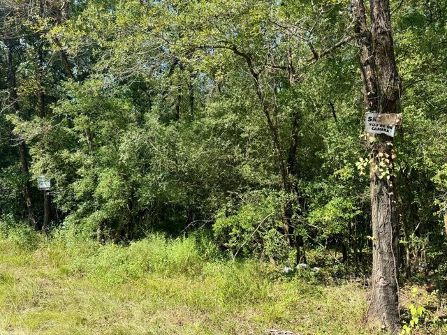 TBD Stonetown Road, Beaumont, TX 77713