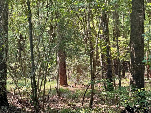 TBD Stonetown Road, Beaumont, TX 77713