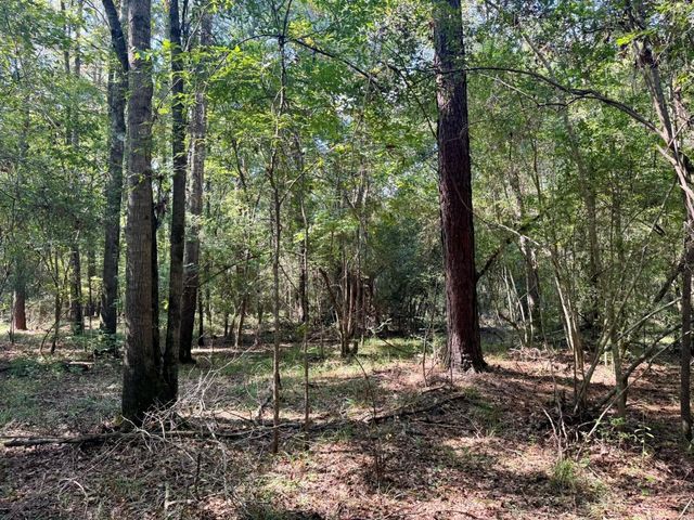 TBD Stonetown Road, Beaumont, TX 77713