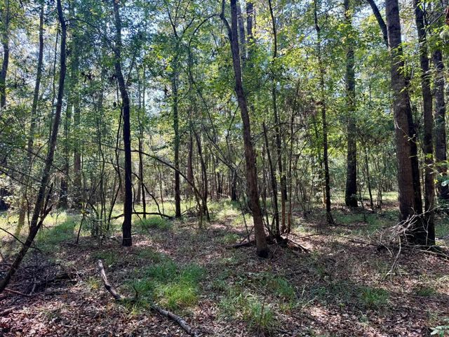 TBD Stonetown Road, Beaumont, TX 77713