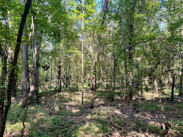 TBD Stonetown Road, Beaumont, TX 77713