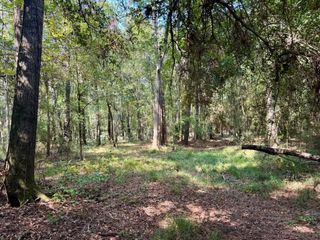 TBD Stonetown Road, Beaumont, TX 77713