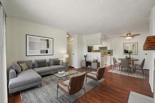 12660 Ashford Point Drive 416, Houston, TX 77082