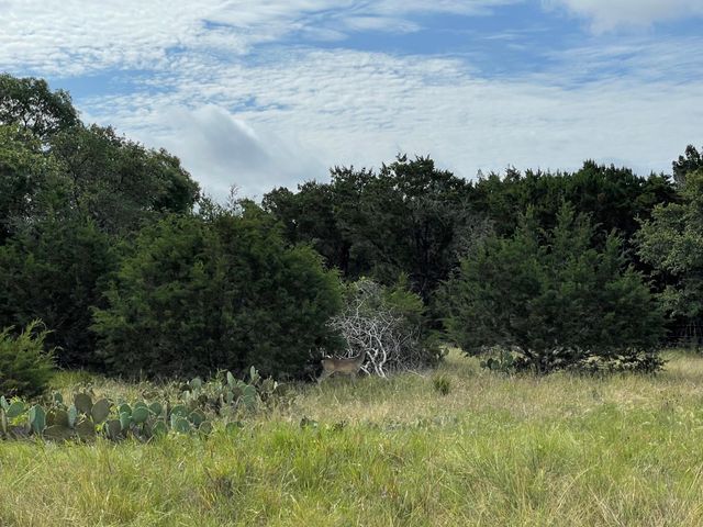 TBD County Road 206, Lampasas, TX 76550