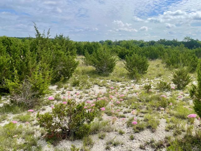TBD County Road 206, Lampasas, TX 76550