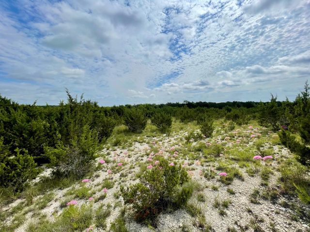 TBD County Road 206, Lampasas, TX 76550