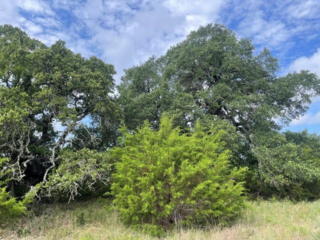 TBD County Road 206, Lampasas, TX 76550