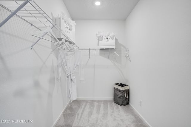 2659 FIELD DAISY Lane, Green Cove Springs, FL 32043