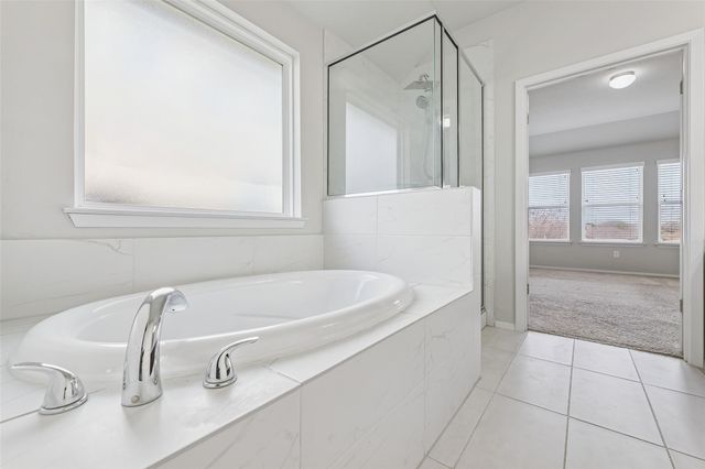 359 Spiny Lizard LN, San Marcos, TX 78666