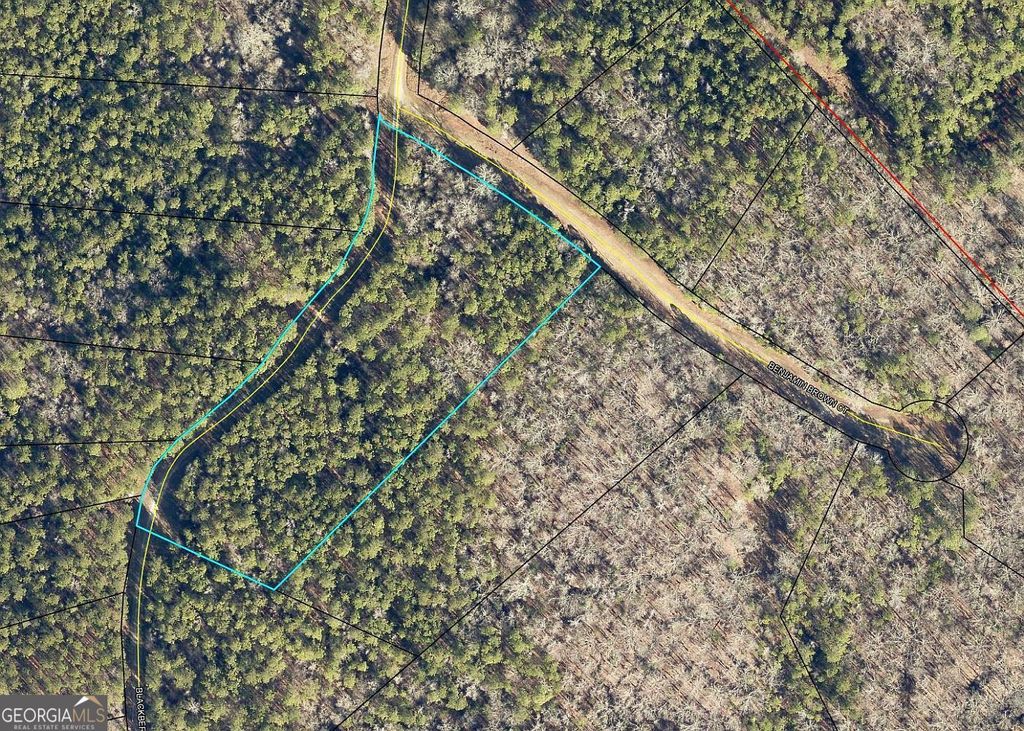 LOT 29 Benjamin Brown Court, Elberton, GA 30635 — photo 3