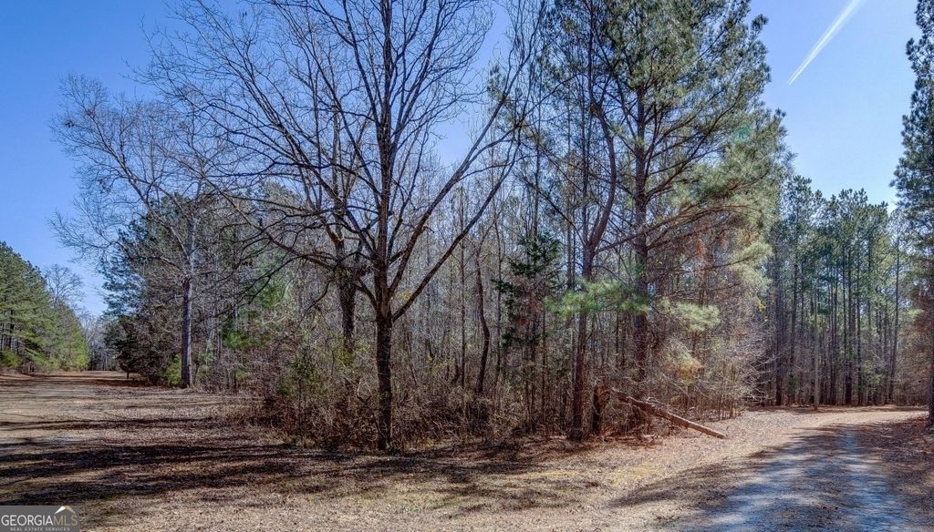 LOT 29 Benjamin Brown Court, Elberton, GA 30635 — photo 4