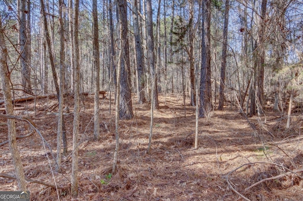 LOT 29 Benjamin Brown Court, Elberton, GA 30635 — photo 5