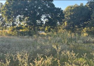 767 Welch Lane, Gun Barrel City, TX 75156