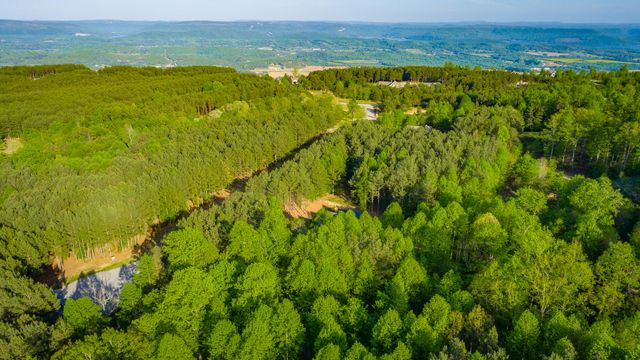 295 Bear Trace Drive Rb205, Jasper, TN 37347