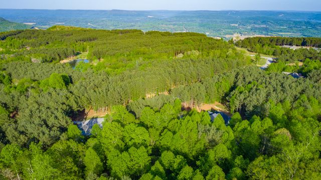 295 Bear Trace Drive Rb205, Jasper, TN 37347