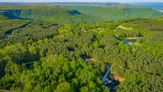 295 Bear Trace Drive Rb205, Jasper, TN 37347
