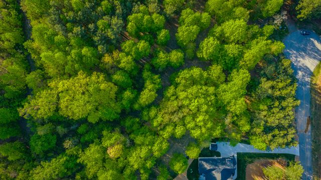 295 Bear Trace Drive Rb205, Jasper, TN 37347