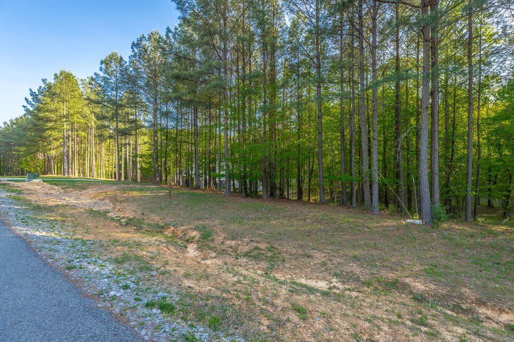 295 Bear Trace Drive Rb205, Jasper, TN 37347