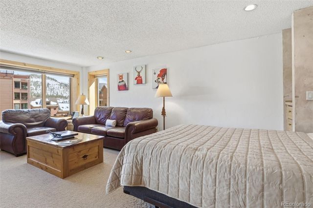 535 S Park Avenue 505, Breckenridge, CO 80424