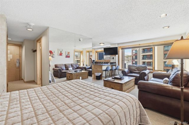 535 S Park Avenue 505, Breckenridge, CO 80424