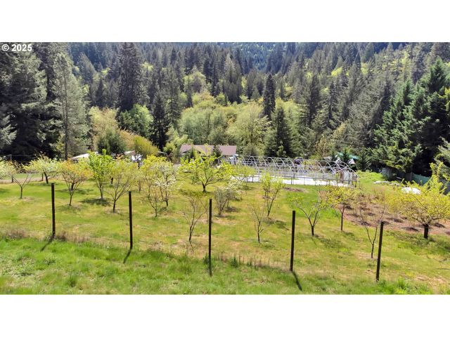 23959 HIGH PASS Rd, Junction City, OR 97448
