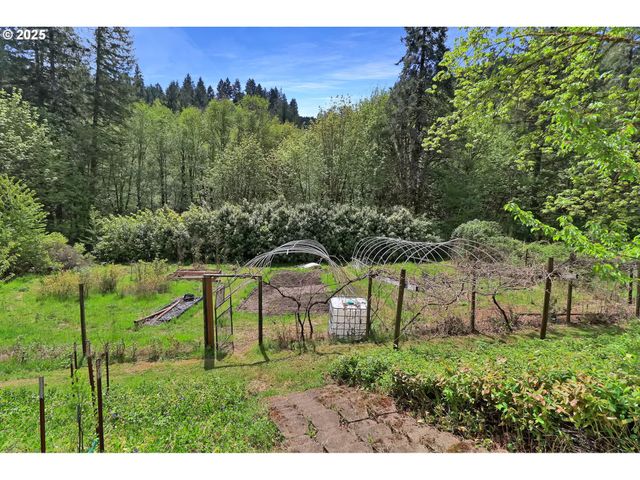 23959 HIGH PASS Rd, Junction City, OR 97448