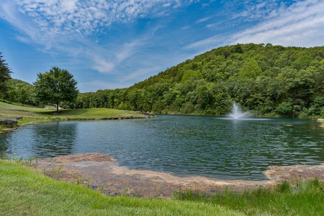 801 Silver Cliff Way, Branson West, MO 65737