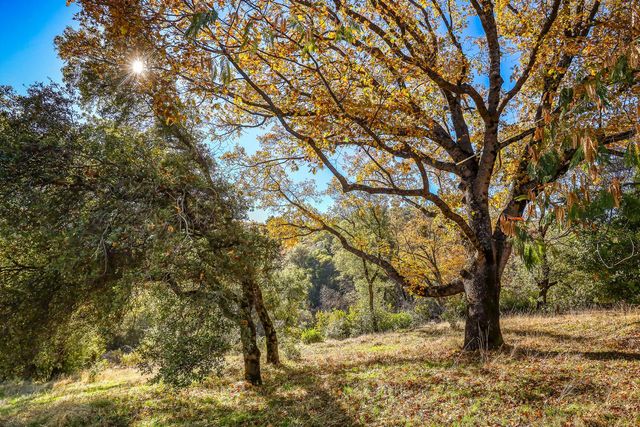 6612 Michel, Mountain Ranch, CA 95246