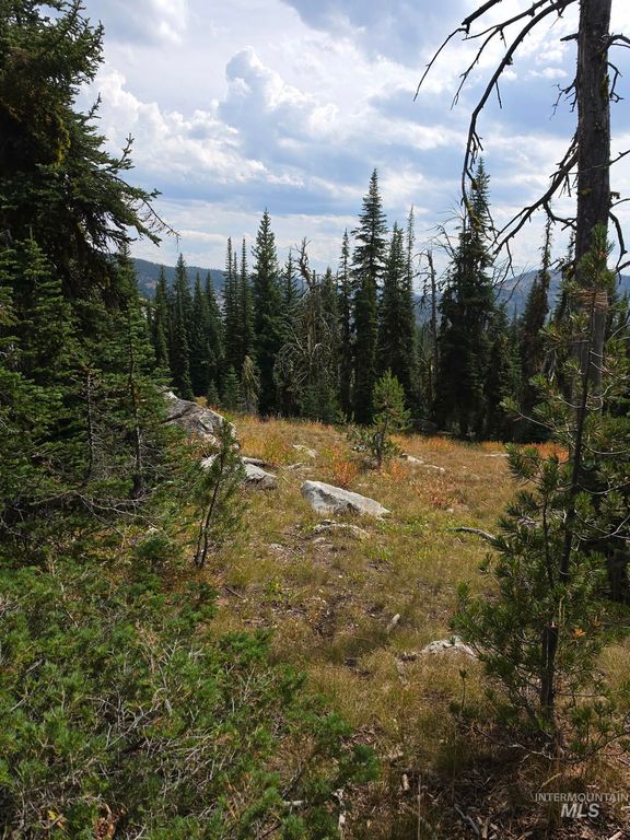 TBD Hump Lake Lot 3, Dixie, ID 83525 photo 2
