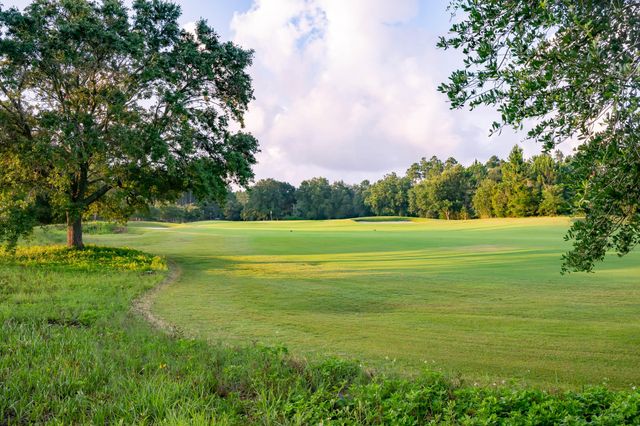 88 Hutton Cove Lot 56, Watersound, FL 32461