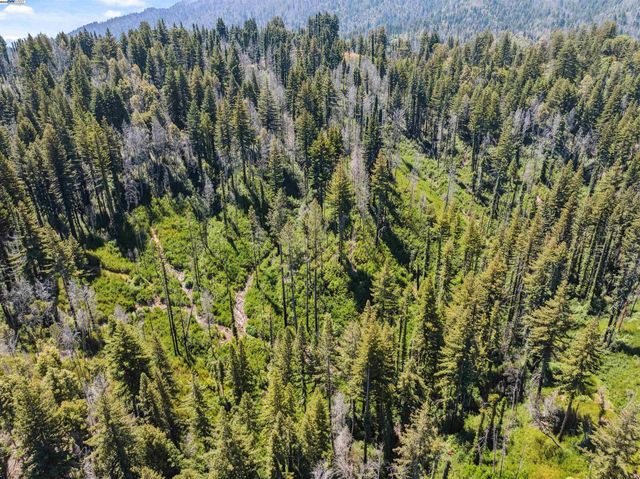 Lot3&6 Branson Rn, Boulder Creek, CA 95006