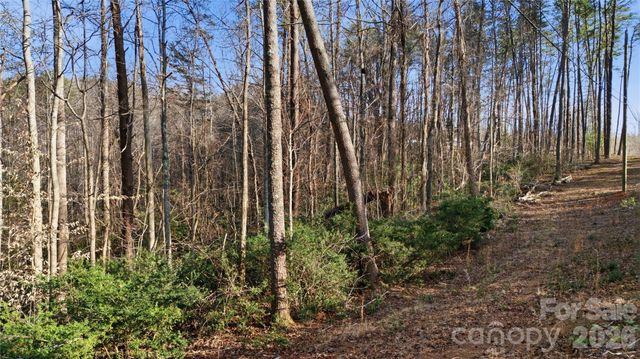 0 Hooker Road, Tryon, NC 28782