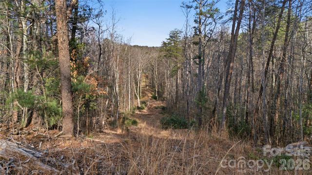 0 Hooker Road, Tryon, NC 28782