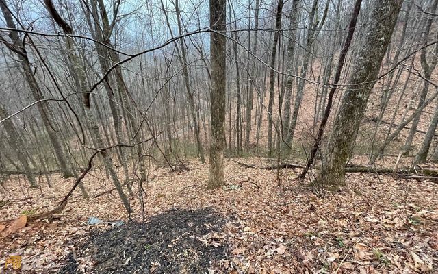 LOT 18 Shooting Creek Trails, Hayesville, NC 28904