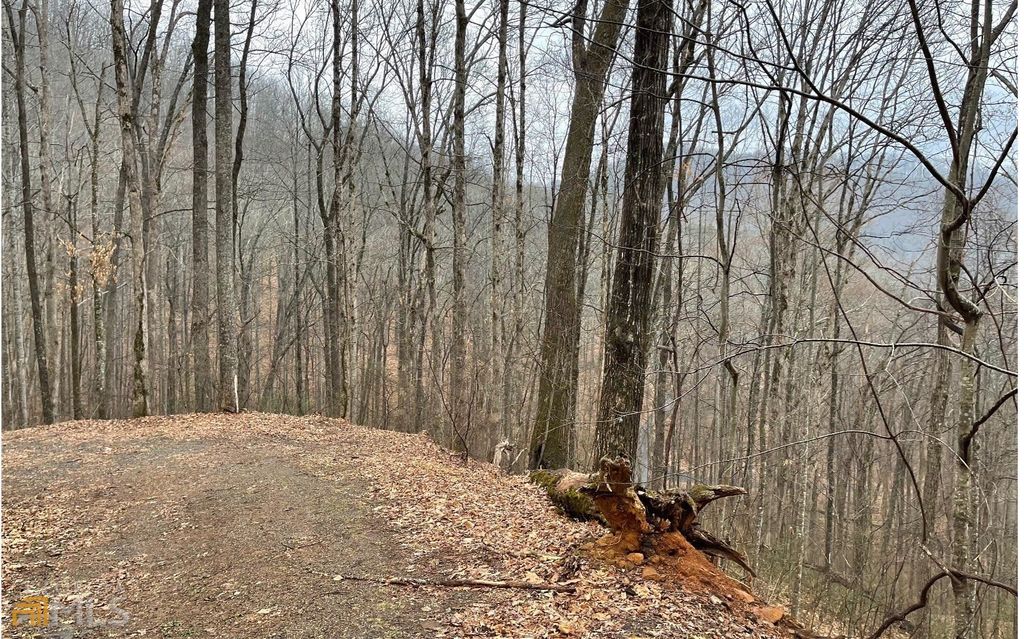 LOT 18 Shooting Creek Trails, Hayesville, NC 28904